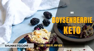 Boysenberries on Keto: Are They Low-Carb and Diet-Friendly?