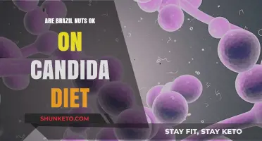 Brazil Nuts and Candida Diet: Safe or Not?