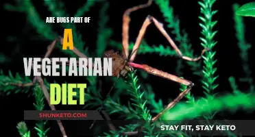 Bugs for Vegetarians: Ethical or Not?