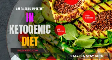 Calorie Counting: Necessary for Ketogenic Diet Success?