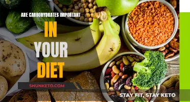 Carbohydrates: Fueling Your Body, Energy Source