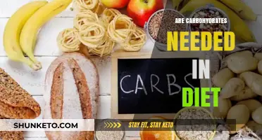 Carbs: Essential or Unnecessary?