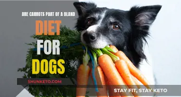 Carrots in Bland Diets: Are They Safe for Dogs?