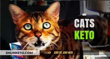Can Cats Thrive on a Keto Diet? Exploring Feline Nutrition