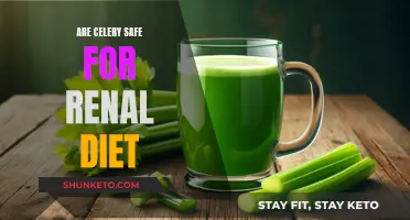 Celery Safety for Renal Diets: What You Need to Know