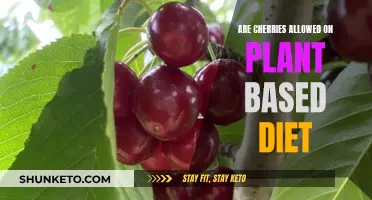 Plant-Based Diet: Are Cherries Allowed?