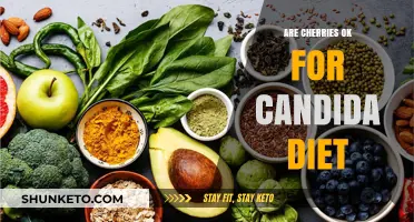 Cherries and Candida Diet: Safe or Not?