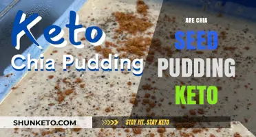 Is Chia Seed Pudding Keto-Friendly? A Low-Carb Breakfast Analysis