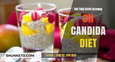 Chia Seeds: Candida Diet Friend or Foe?