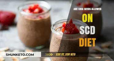 Chia Seeds: Safe for the SCD Diet?