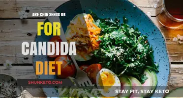 Chia Seeds and Candida Diet: What's the Verdict?