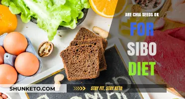 Chia Seeds: Safe Superfood for SIBO Diets?