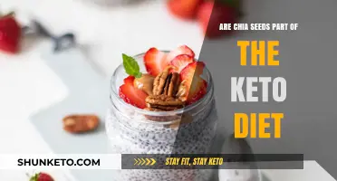 Chia Seeds and Keto: Can They Coexist in Your Low-Carb Diet?