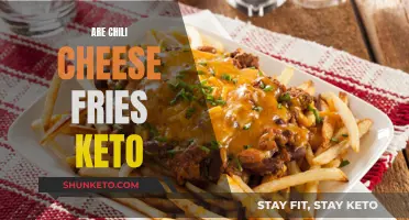 Cheese Fries Keto: Are Chili Fries Keto-Friendly?