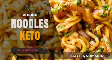 Cilantro Noodles and Keto: A Low-Carb, Flavorful Match?