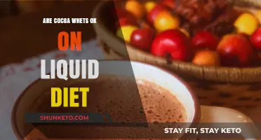 Liquid Diets: Can You Include Cocoa Whets?