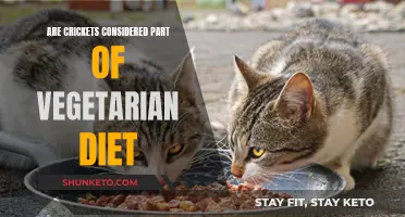 Crickets and Vegetarianism: Are They Compatible?