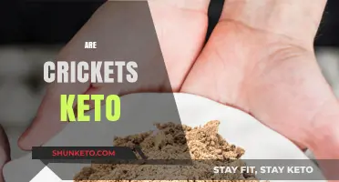 Can Crickets Fit into a Keto Diet? Nutrition Facts Revealed