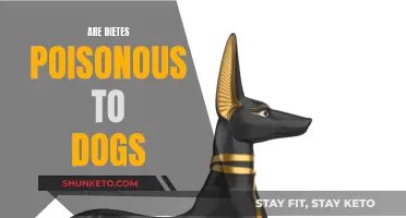Are Dietes Poisonous to Dogs? Understanding the Risks