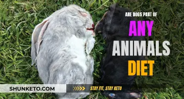 Dogs in the Wild: Who Eats Them?