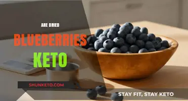Can Dried Blueberries Fit into a Keto Diet? Here's the Truth