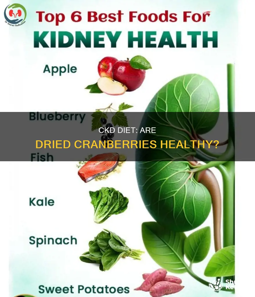 are dried cranberries ok on a ckd diet