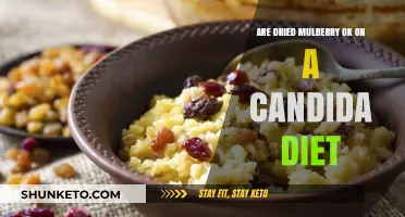 Candida Diet: Are Dried Mulberries a Good Snack Option?