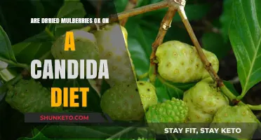 Candida Diet: Are Dried Mulberries a Good Choice?