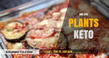 Are Eggplants Keto-Friendly? A Low-Carb Diet Guide