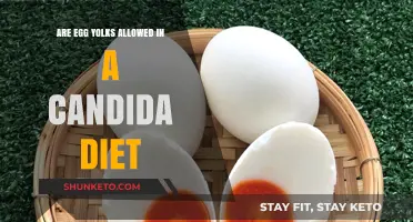 Egg Yolk Consumption: Candida Diet-Friendly or Not?