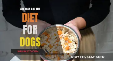 Eggs: A Bland Diet for Dogs?
