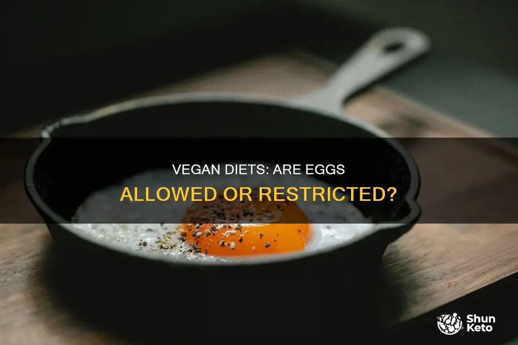 are eggs allowed on a vegan diet