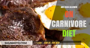 Carnivore Diet: Are Eggs Allowed or Not?