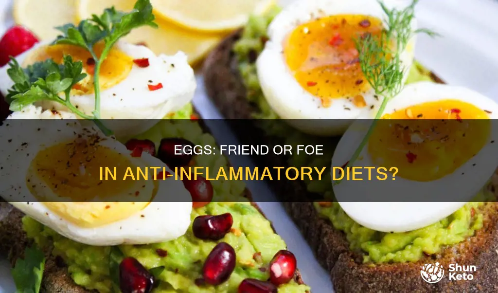 are eggs ok for anti inflammatory diet