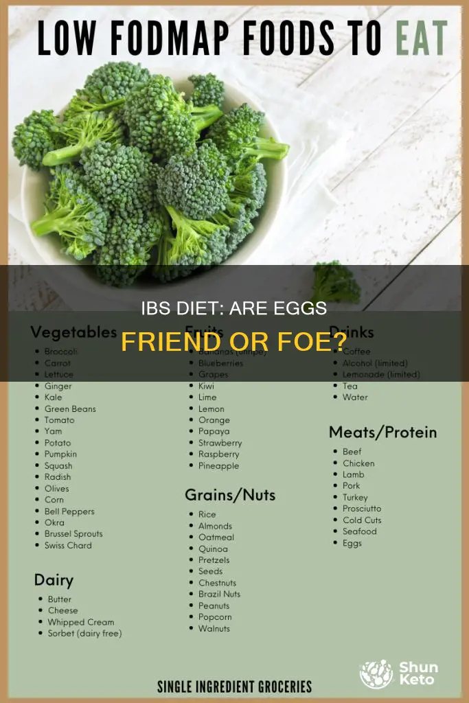 are eggs ok for ibs diet