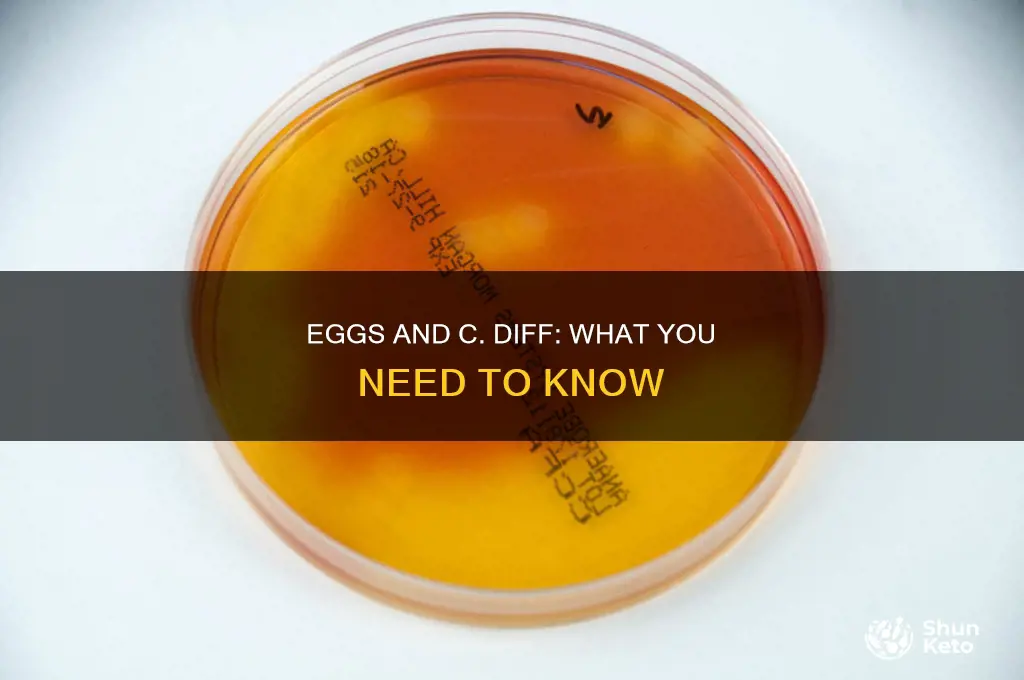 are eggs ok on a c-diff diet