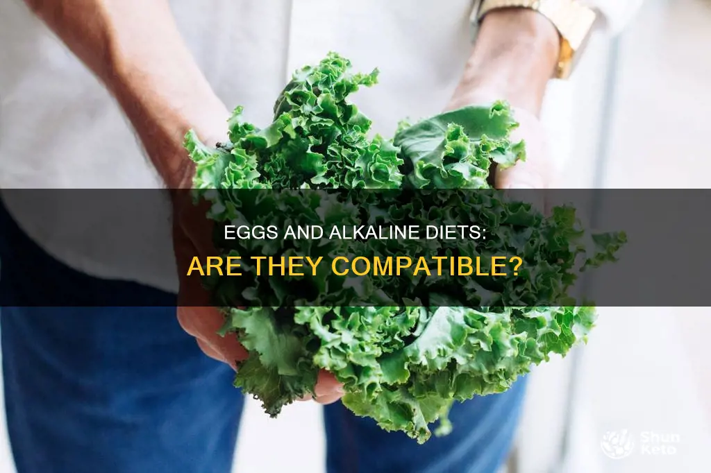 are eggs ok on alkaline diet