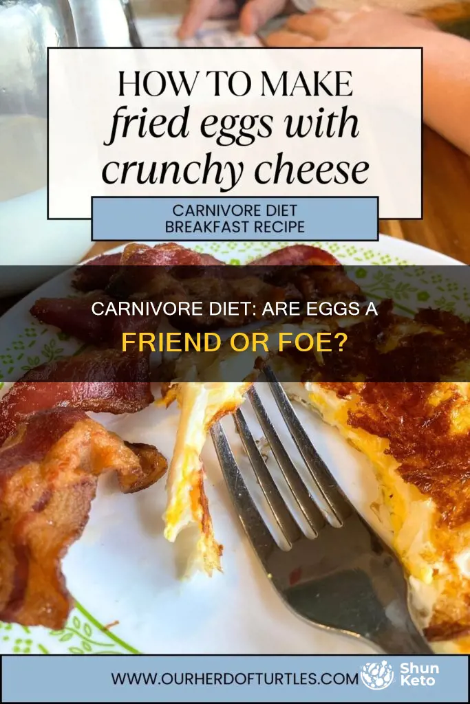 are eggs ok on carnivore diet