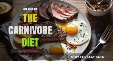 Carnivore Diet: Are Eggs Allowed?