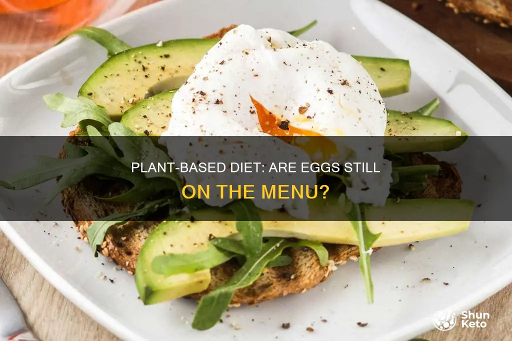 are eggs out when on a plant based diet