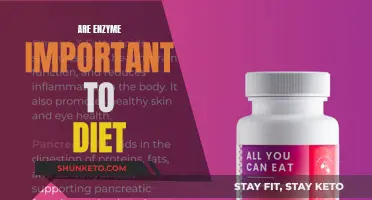 Enzyme Power: Unlocking Diet's Full Potential