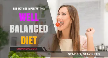 Enzyme Power: Unlocking Diet's Full Potential