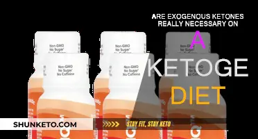Ketogenic Diet: Exogenous Ketones Necessary?