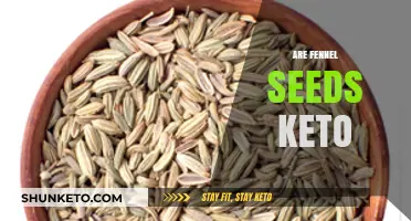 Are Fennel Seeds Keto-Friendly? Nutritional Benefits and Low-Carb Uses