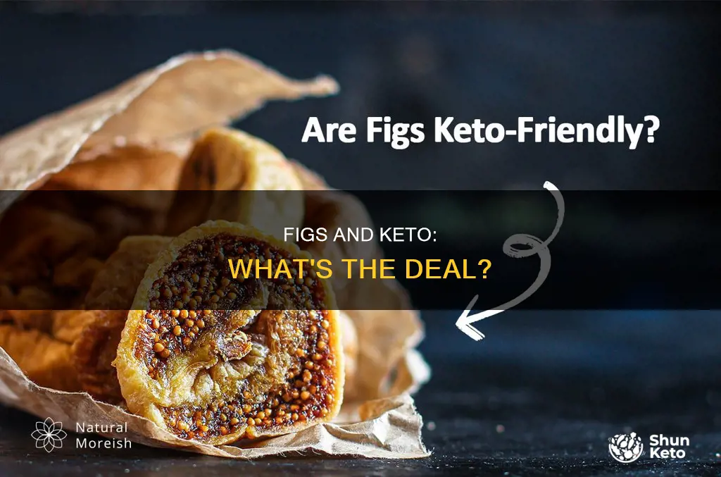 are figs allowed on keto