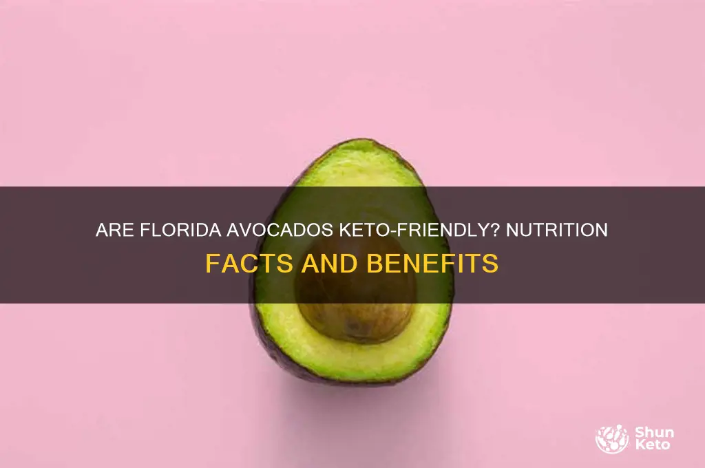 are florida avocados keto