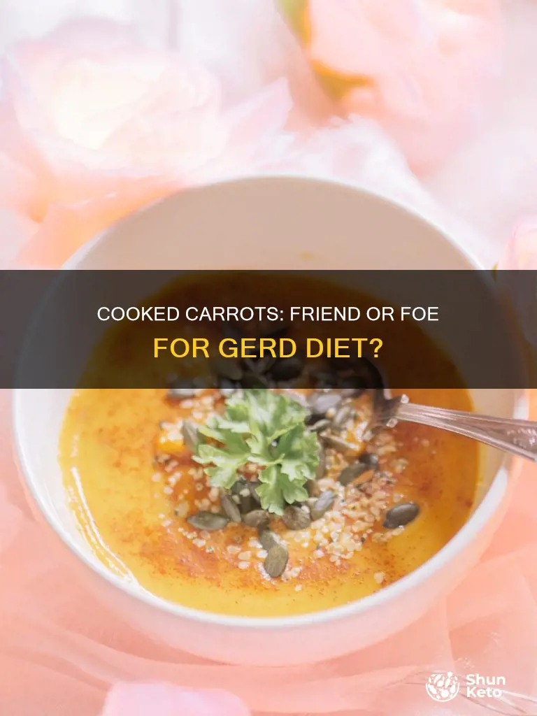 are fresh cooked carrots ok with gerd diet