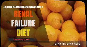 Mandarin Oranges: A Healthy Renal Diet Treat?