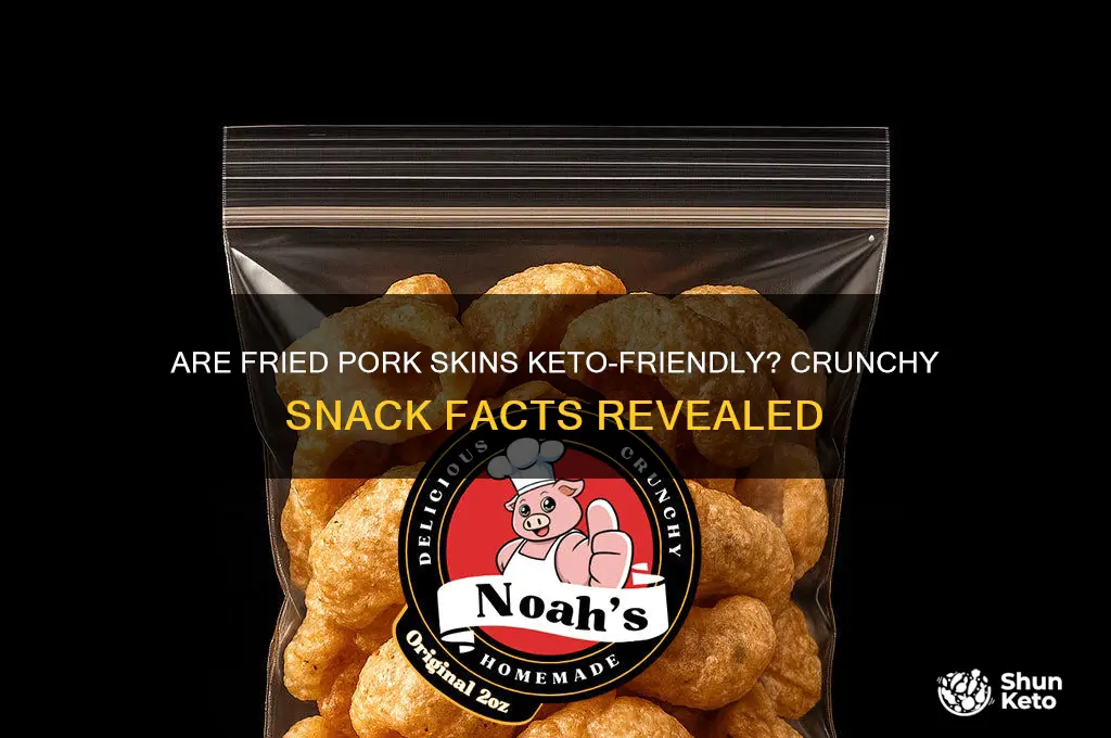 are fried pork skins keto