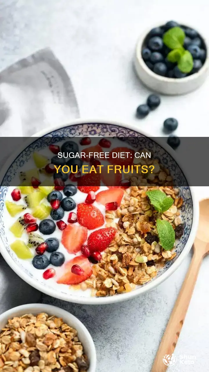 are fruits allowed in a zero sugar diet
